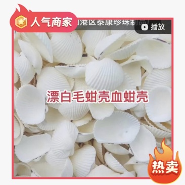 漂白毛蚶壳血蚶壳瓦楞子壳