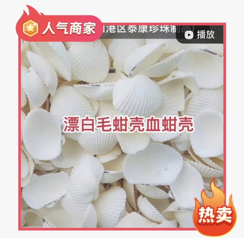 漂白毛蚶壳血蚶壳瓦楞子壳