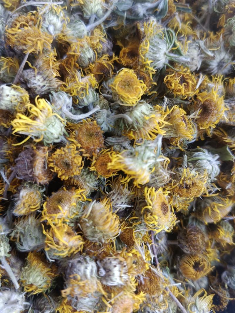 旋覆花，新货无硫无熏蒸，实拍现货，农民伯伯自己采摘