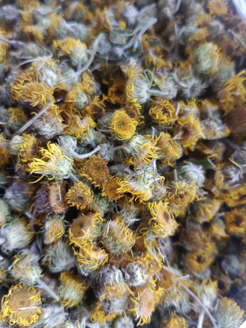 旋覆花，新货无硫无熏蒸，实拍现货，农民伯伯自己采摘
