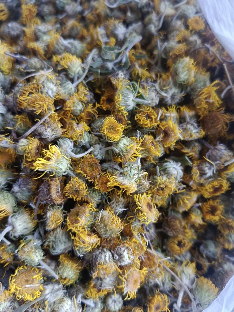 旋覆花，新货无硫无熏蒸，实拍现货，农民伯伯自己采摘