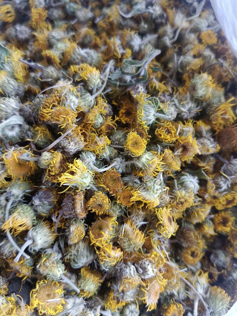 旋覆花，新货无硫无熏蒸，实拍现货，农民伯伯自己采摘