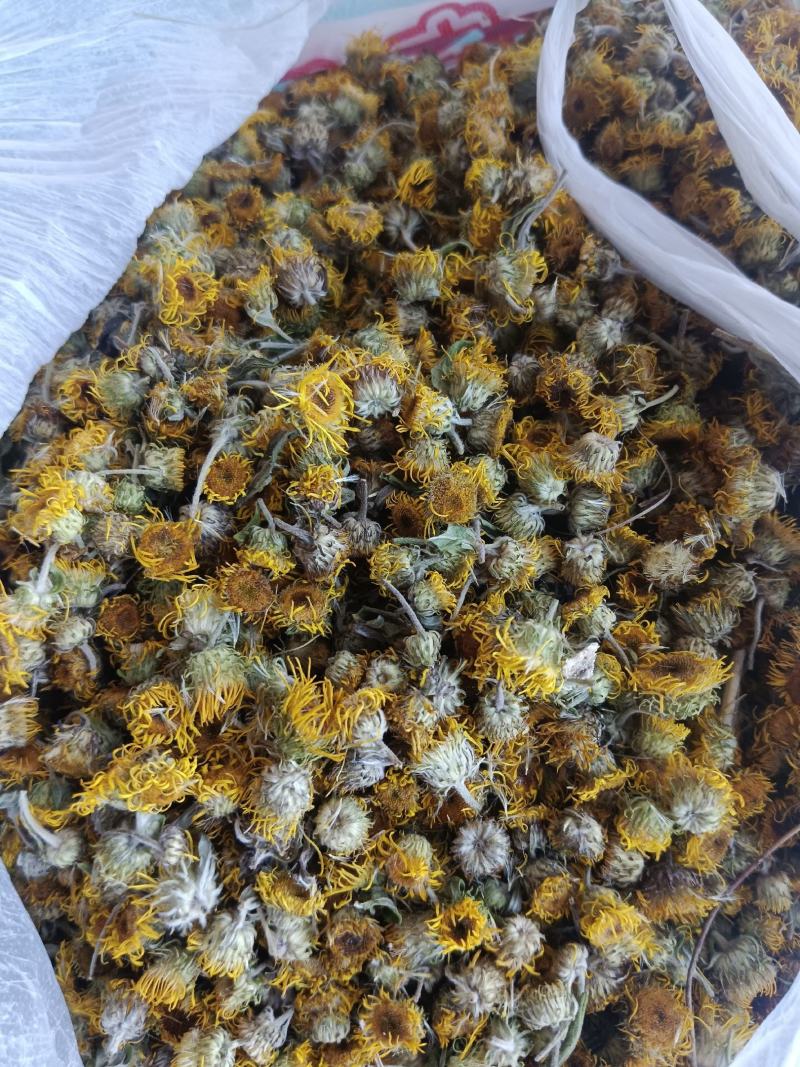 旋覆花，新货无硫无熏蒸，实拍现货，农民伯伯自己采摘