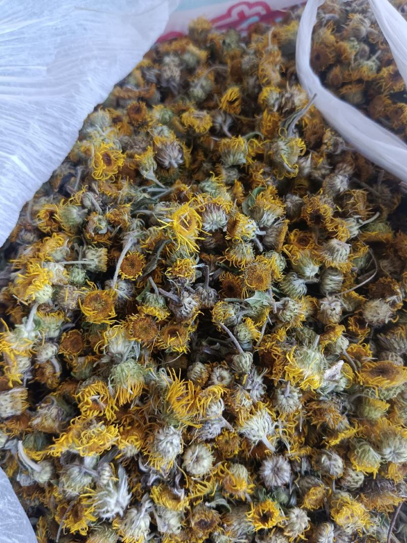 旋覆花，新货无硫无熏蒸，实拍现货，农民伯伯自己采摘