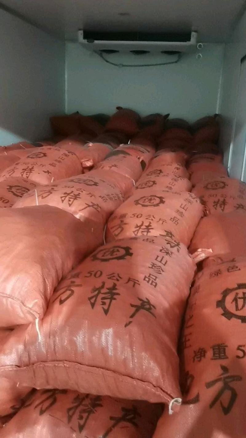 2023年新鲜板栗