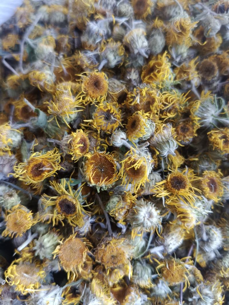 旋覆花，新货无硫无熏蒸，实拍现货，农民伯伯自己采摘