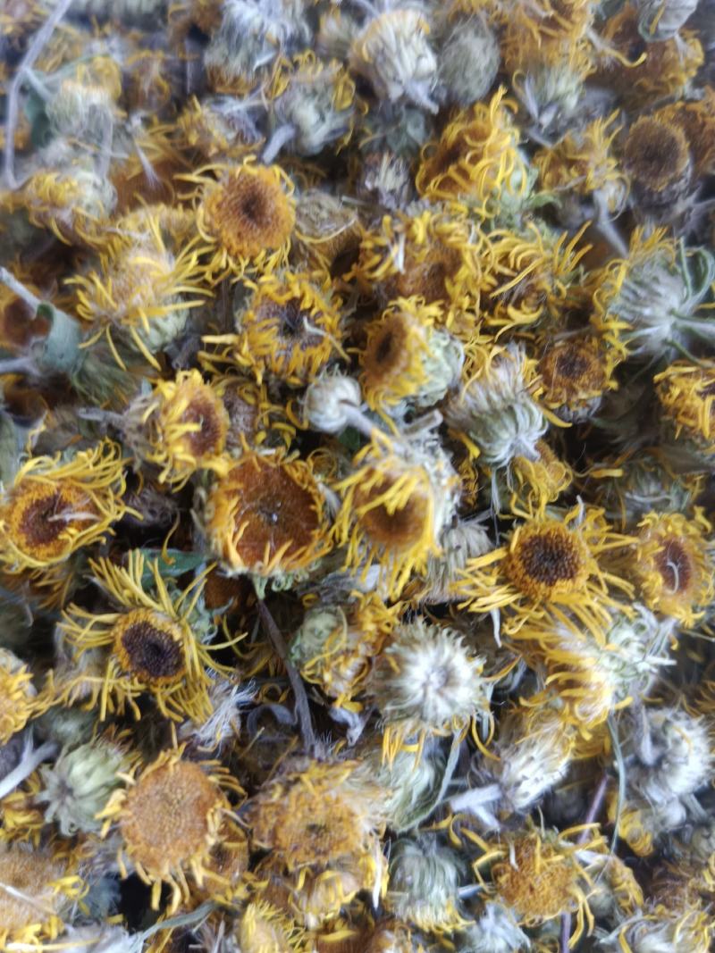 旋覆花，新货无硫无熏蒸，实拍现货，农民伯伯自己采摘