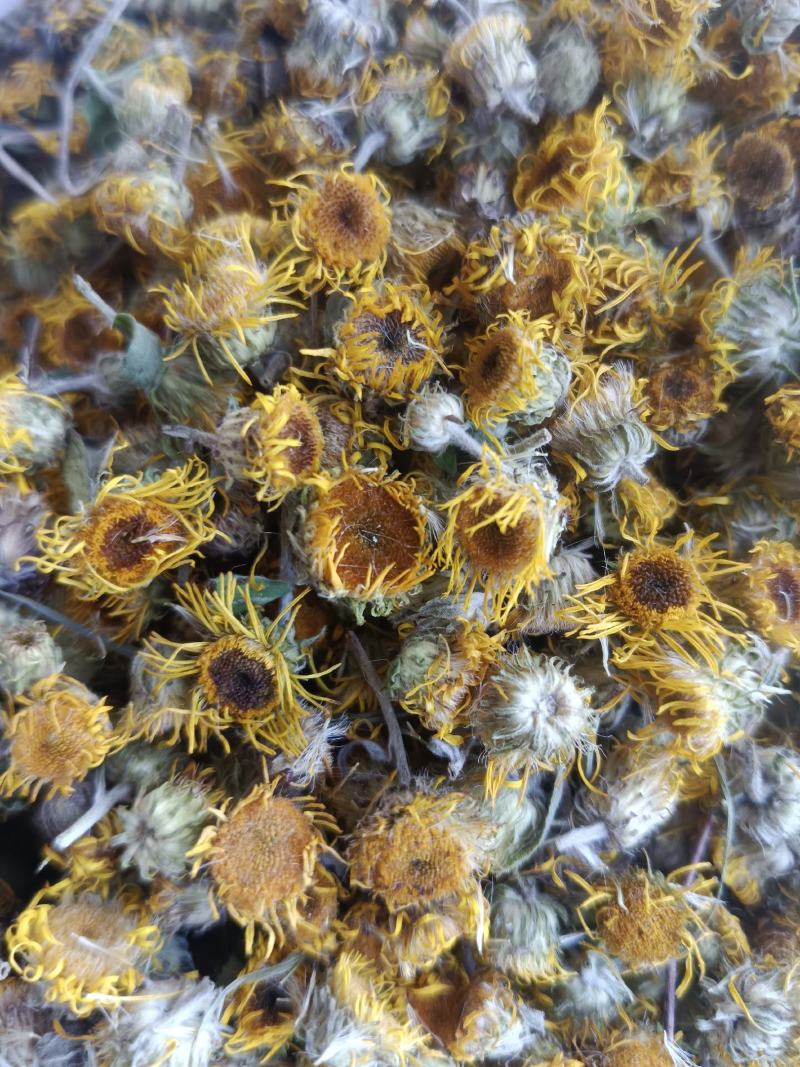 旋覆花，新货无硫无熏蒸，实拍现货，农民伯伯自己采摘