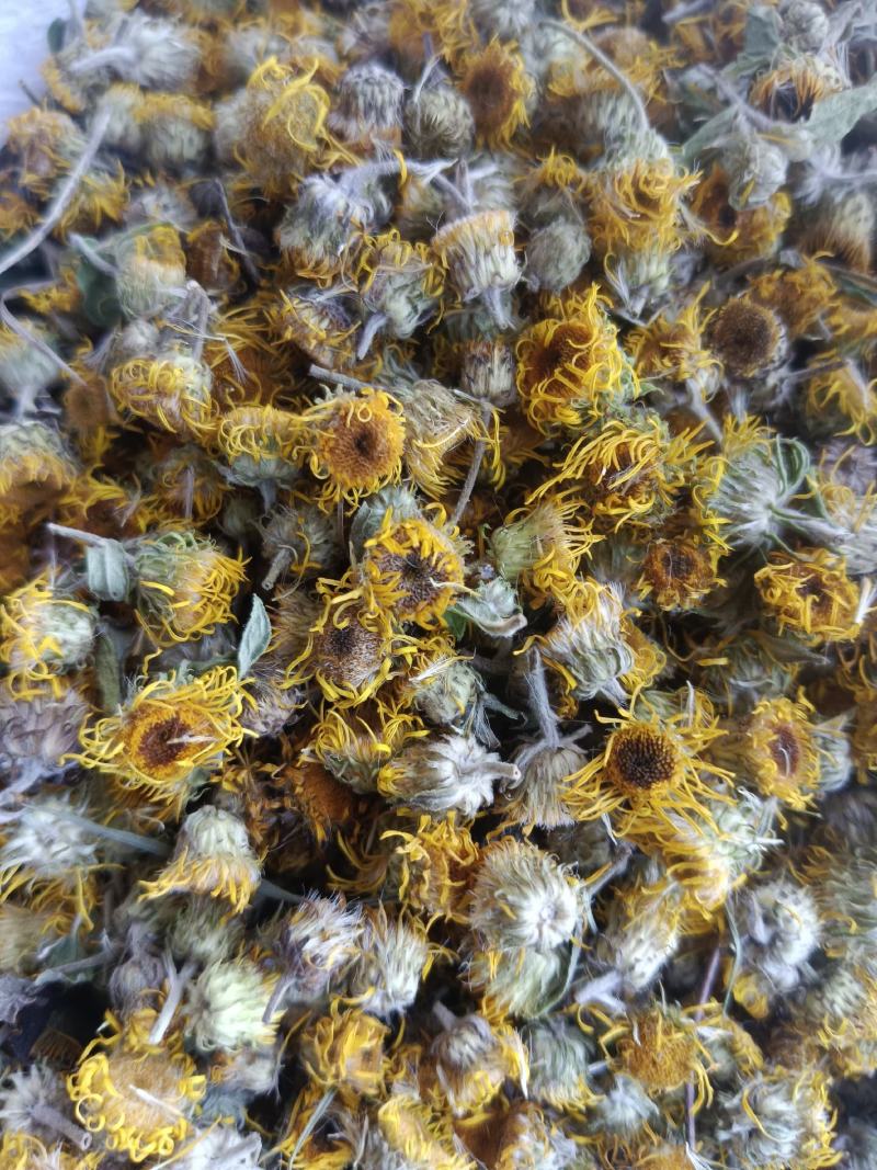 旋覆花，新货无硫无熏蒸，实拍现货，农民伯伯自己采摘
