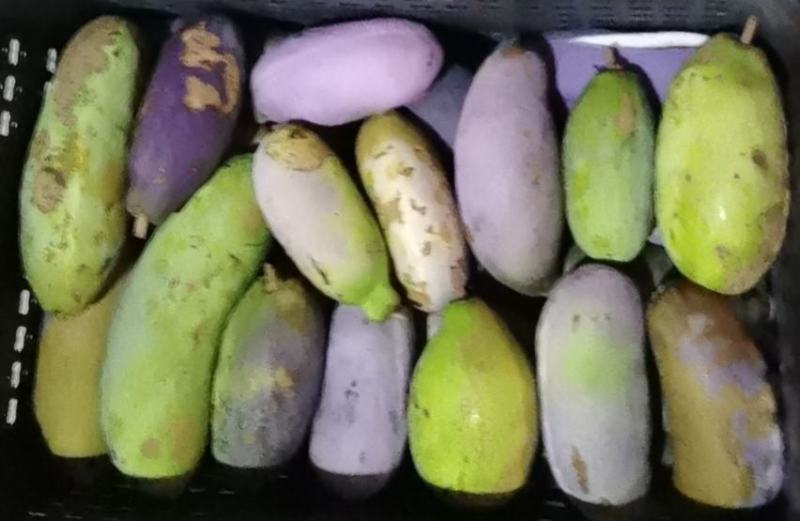 微商，电商，批发商，平台运营，水果连锁店