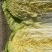 黄心菜上市0.3上车价