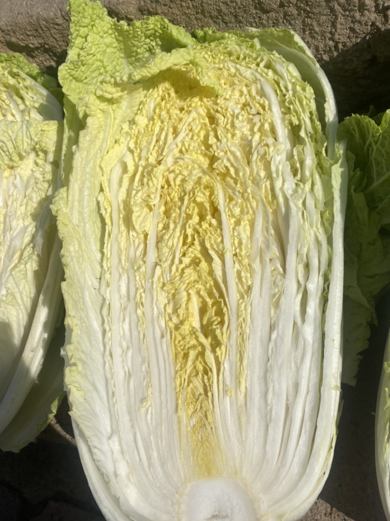 黄心菜上市0.3上车价
