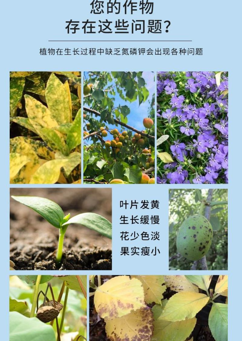 大量元素水溶肥平衡高钾膨果肥转色厂家