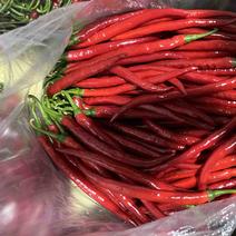 青红3号线椒，市场货，工厂打酱红线椒均有货，价格实惠质量