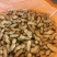 【精选】大白沙花生-颗颗饱满-量大从优-品质保障-可验货