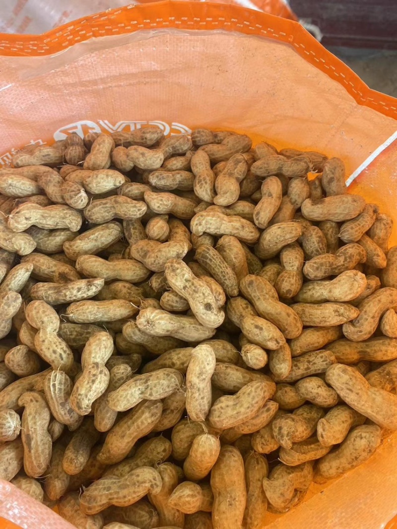 【精选】大白沙花生-颗颗饱满-量大从优-品质保障-可验货