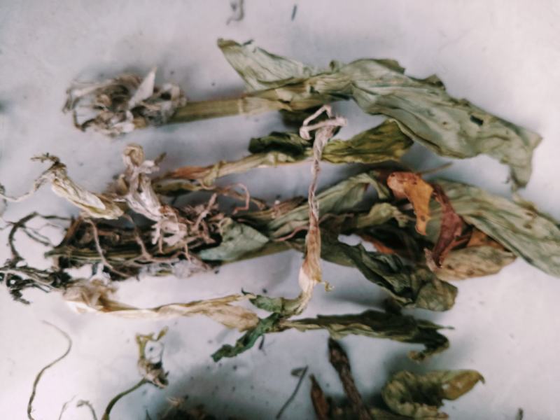 见血清，正品野生见血青质量保证经营各种中药材欢迎咨询选购