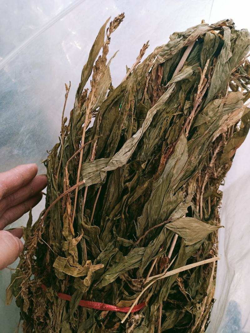 见血清，正品野生见血青质量保证经营各种中药材欢迎咨询选购