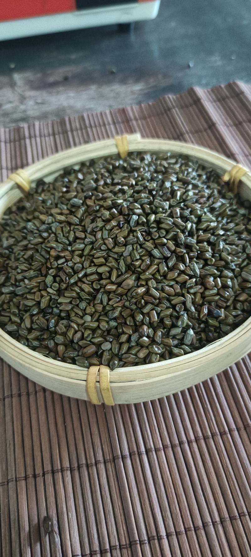 精品决明子，选货，质量好，产地直发，量大从优