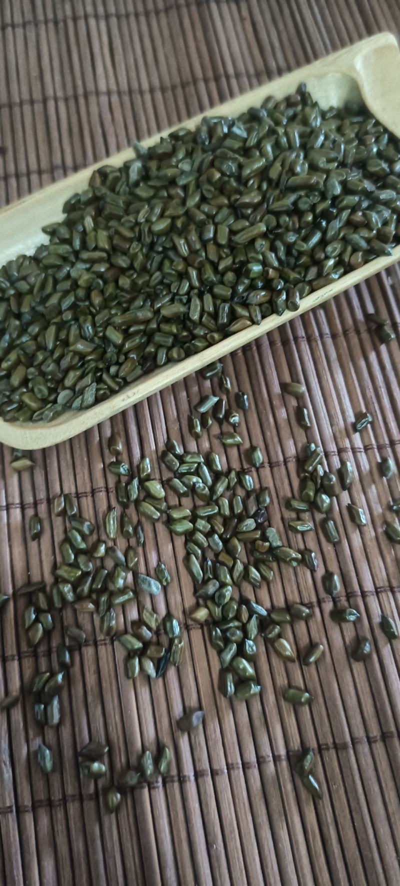 精品决明子，选货，质量好，产地直发，量大从优