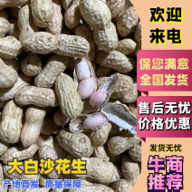 【精选】大白沙花生-颗颗饱满-量大从优-品质保障-可验货