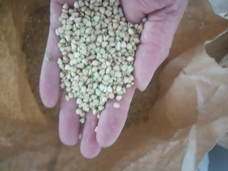【荐】山东临沂杂粮煎饼，纯手工制作，新鲜食材，当天发货