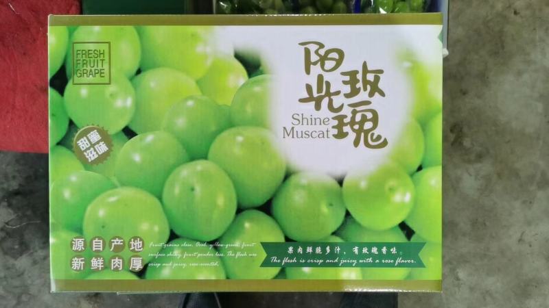 【精选】阳光玫瑰葡萄现货先发品质过硬价格不贵来电洽谈