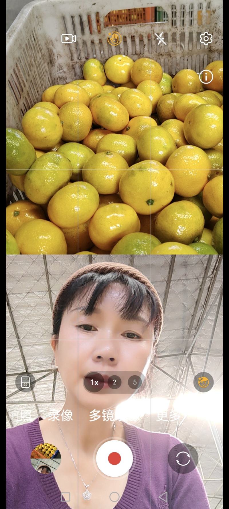 高山蜜橘，口感甜水份足果面干净皮薄汁多