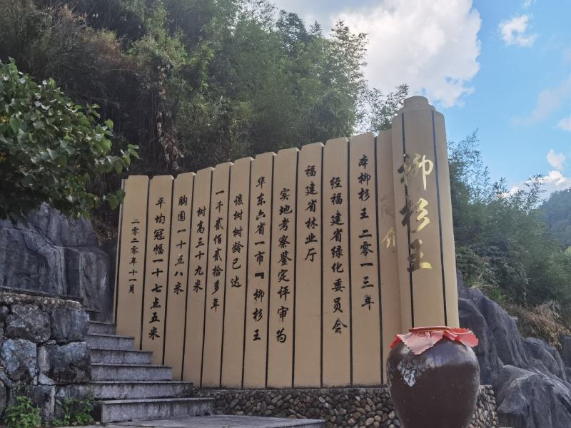 高山吊瓜子