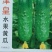 津皇水果黄瓜种子皮绿肉厚口味清香脆甜