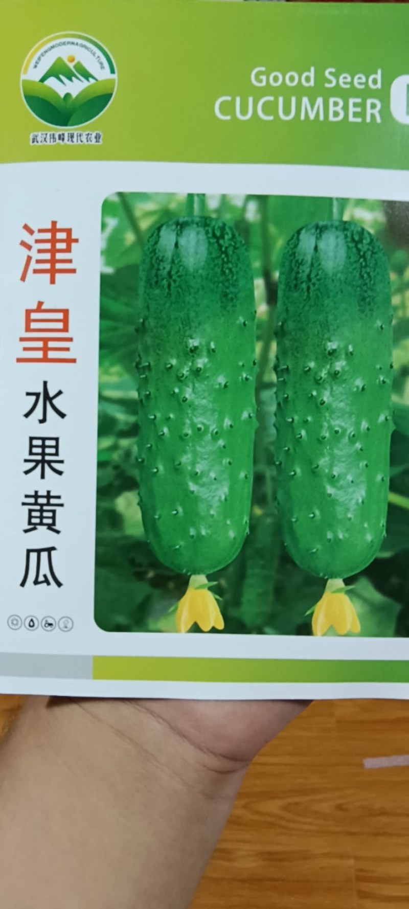 津皇水果黄瓜种子皮绿肉厚口味清香脆甜