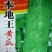 本地王黄瓜种子早熟耐老肉质脆甜