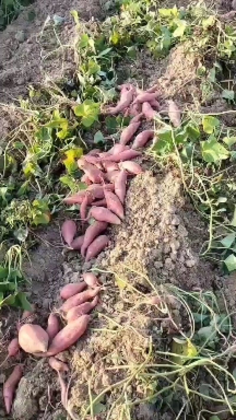 甜甜的，软糯的，