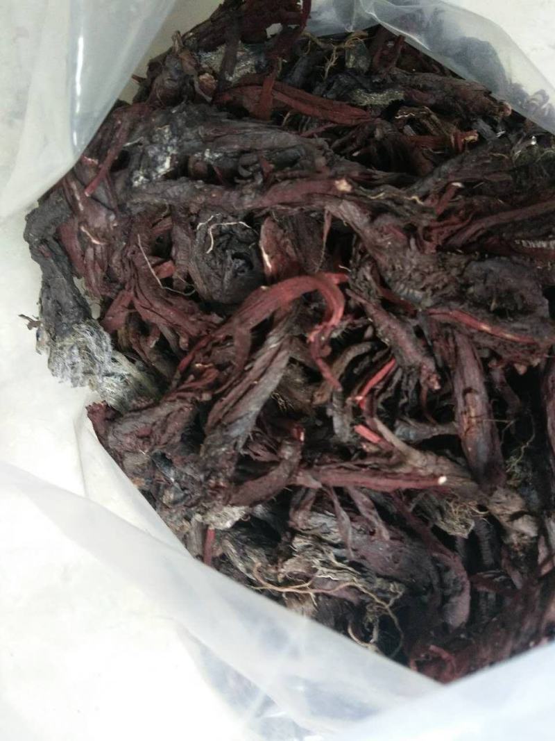 紫草