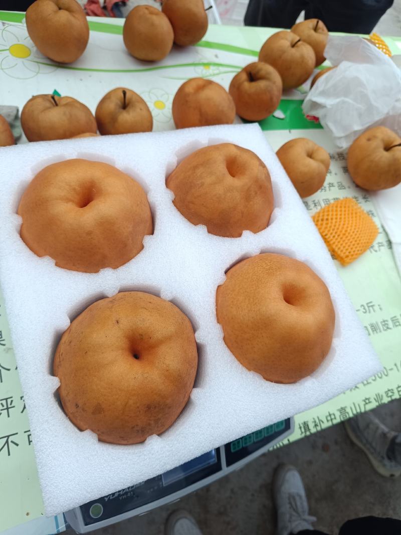 重庆奉节黄梨奉渝梨上市了，黄皮溥，肉化渣，糖度高，一手货