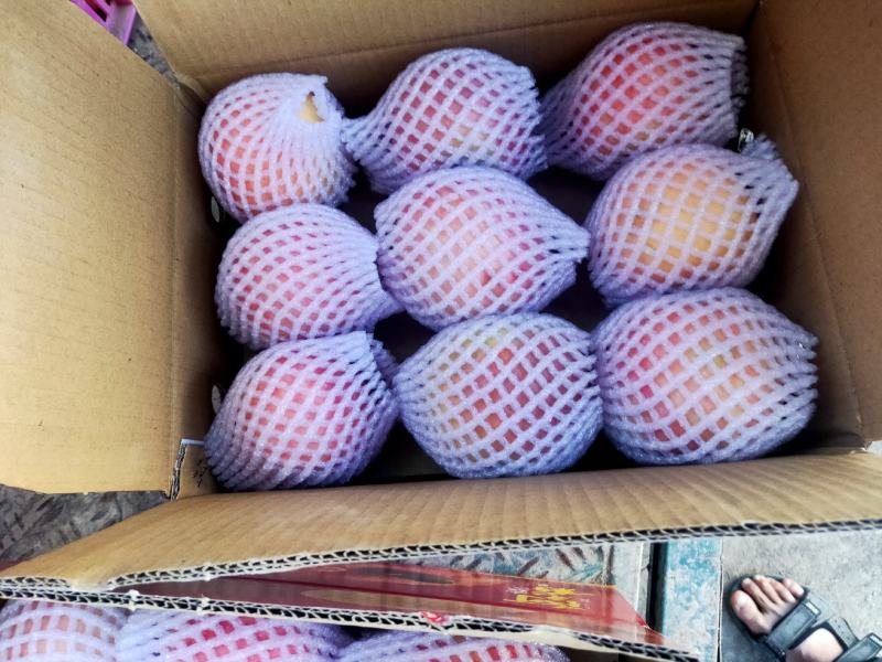 【产地直发】新疆苹果精品礼盒包装送礼单位福利接直播带货落地配