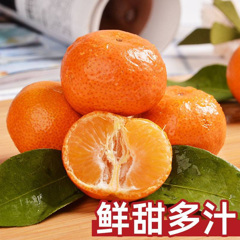 现摘雪杉蜜橘超甜薄皮桔子孕妇柑桔新鲜橘子当季水果10斤