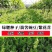 果园绿肥种子光叶紫花苕长柔毛野豌豆毛苕子养蜂蜜源植物厂家