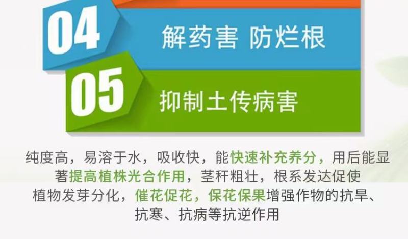 猛生根，生根肥