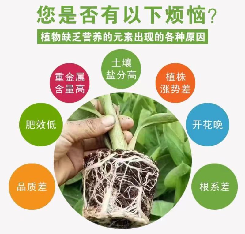 猛生根，生根肥