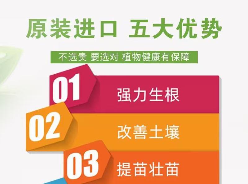 猛生根，生根肥