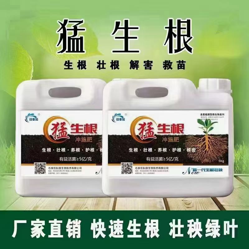 猛生根，生根肥