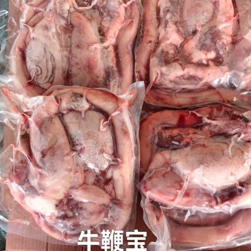 牛鞭宝A级货优质产品质量保障一手货源全国冷链物流发