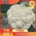 【实力】松花菜白面青梗有机花菜大量新鲜供应，对接全国商超