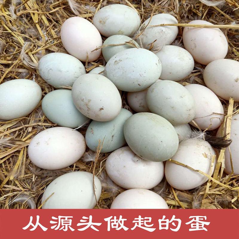 [热卖]新鲜鸭蛋厂家直发大量现货诚信经营量大从优