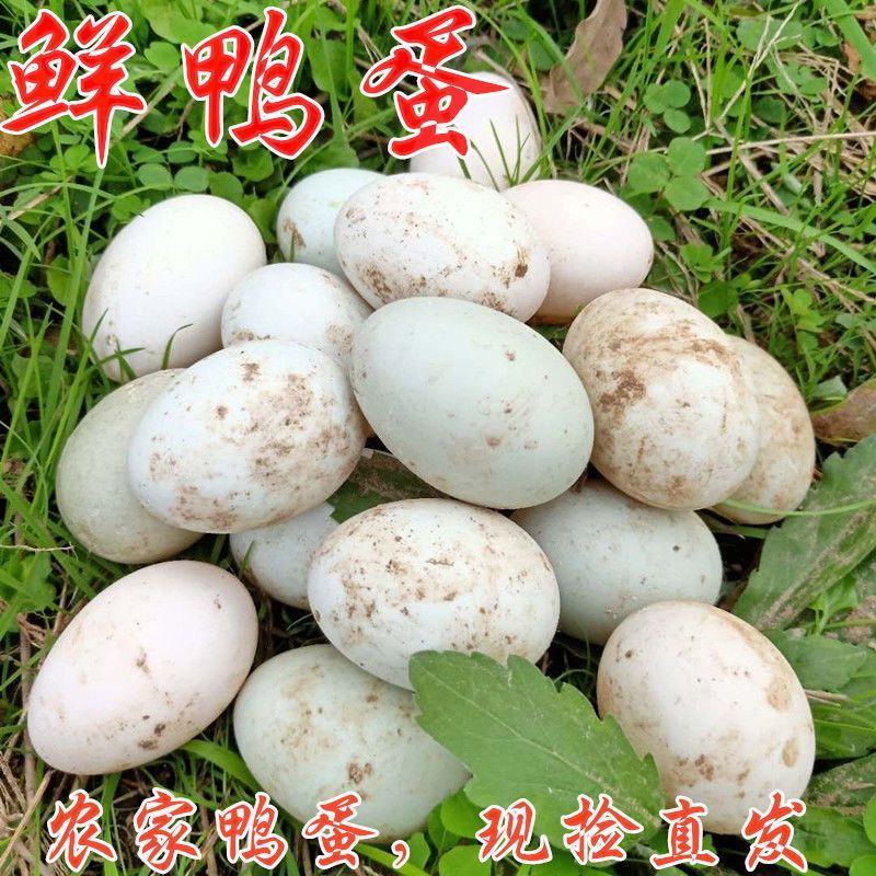 [热卖]新鲜鸭蛋厂家直发大量现货诚信经营量大从优