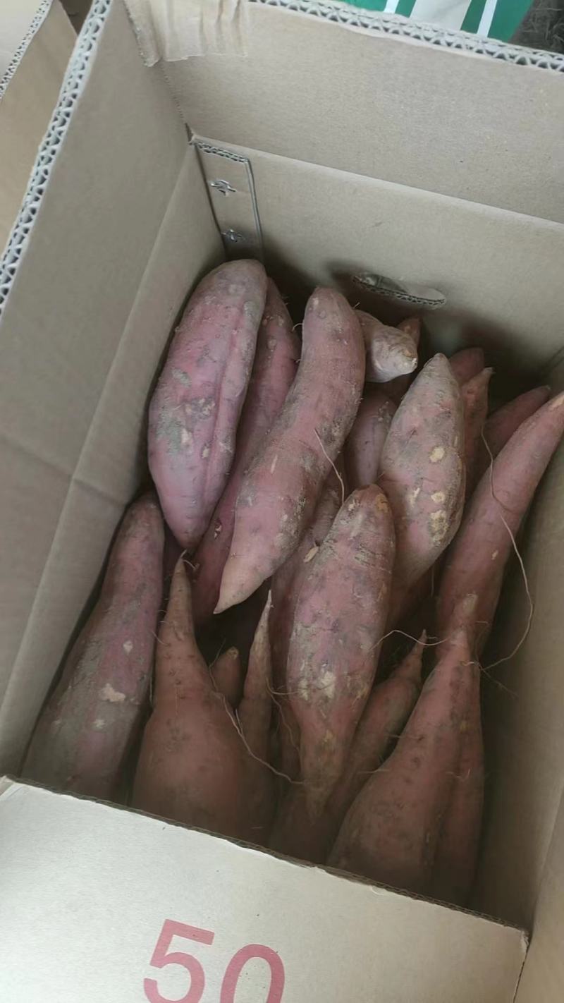 开封沙地蜜薯西瓜红红薯软糯香甜量大从优全国发货