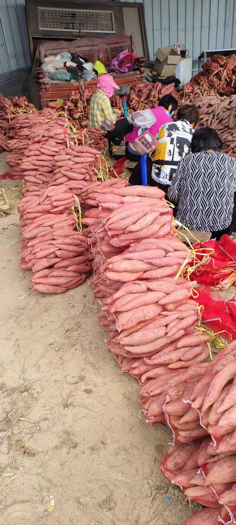 开封精品西瓜红红薯沙地蜜薯货源充足价格实惠品质保