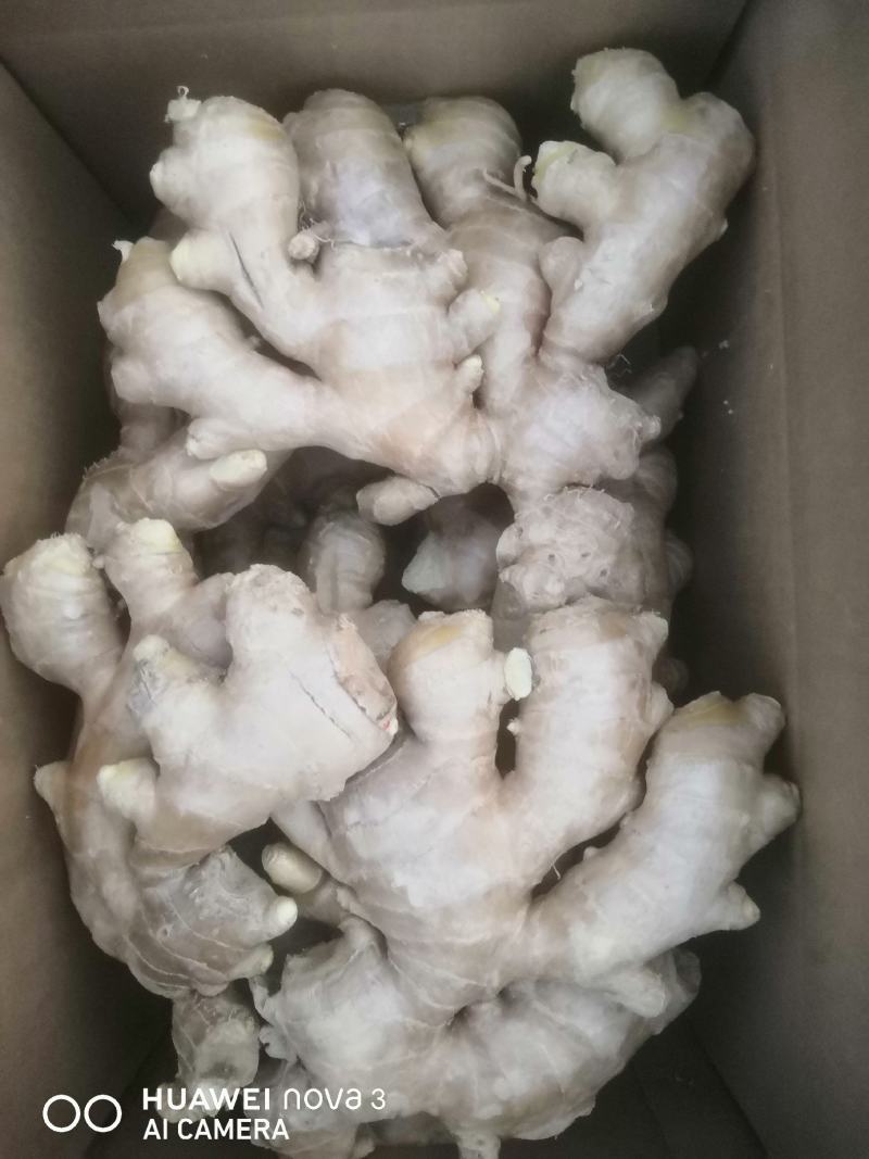 生姜优质烘干姜通货家乡优质特产，产地直销