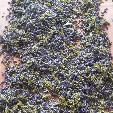 有大量的旱半夏子出售有意者前耒洽谈